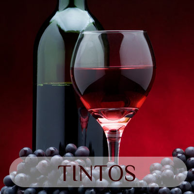 vinos tintos de valladolid y vega sicilia