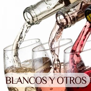 vinos DO rueda bodega de monty