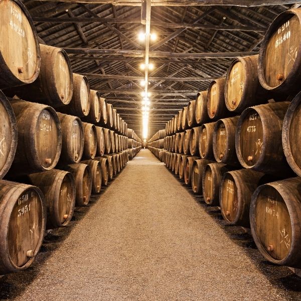 bodega de monty contacto